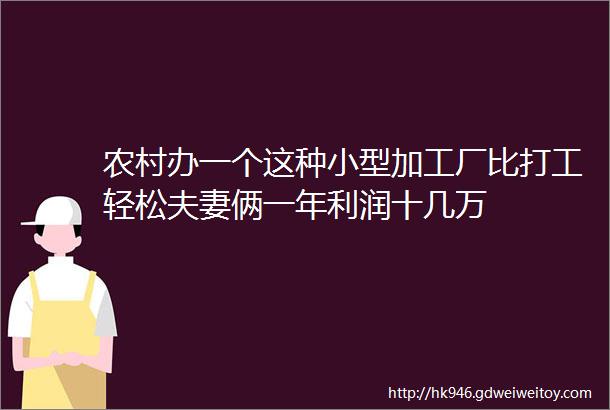 农村办一个这种小型加工厂比打工轻松夫妻俩一年利润十几万