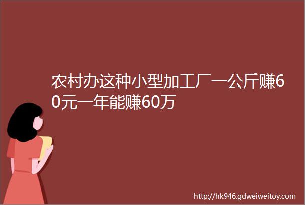 农村办这种小型加工厂一公斤赚60元一年能赚60万